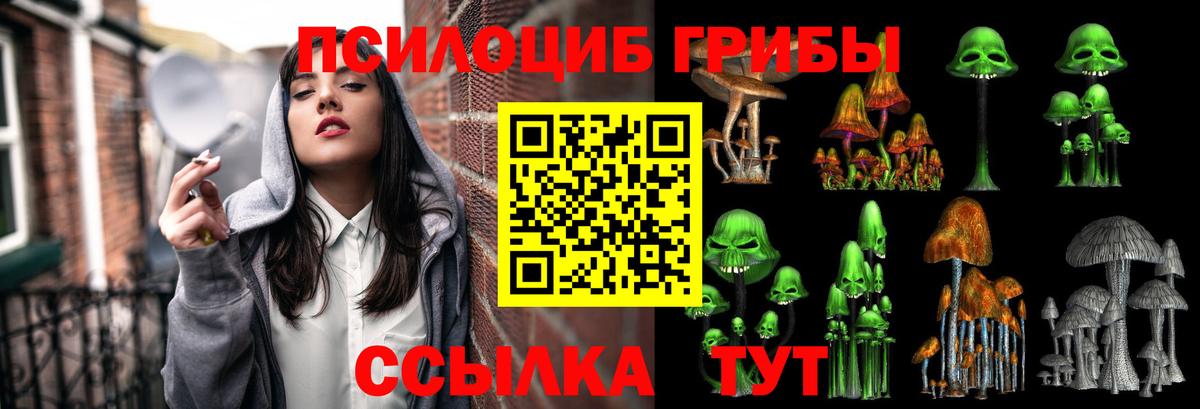 Псилоцибиновые грибы GOLDEN TEACHER Киржач